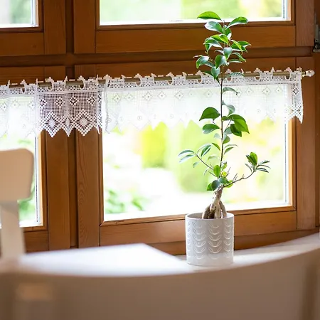 Pop S Huus 35226 Apartamento Holtland