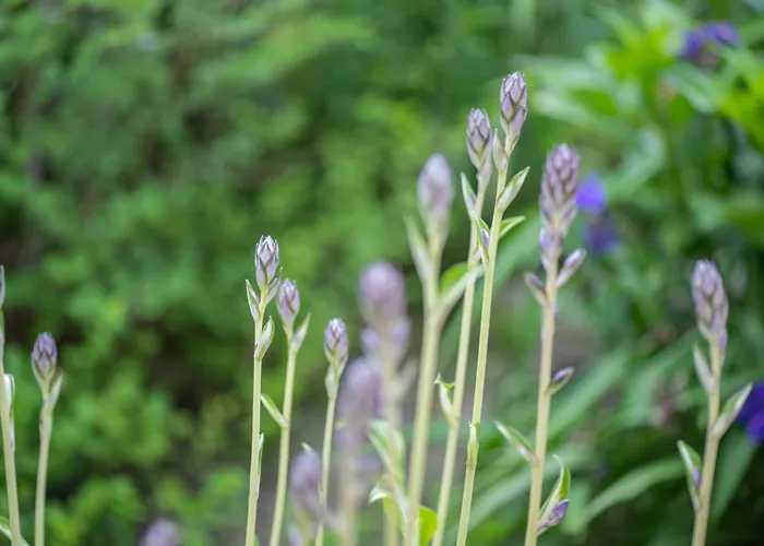 Pop S Huus 35226 شقة *